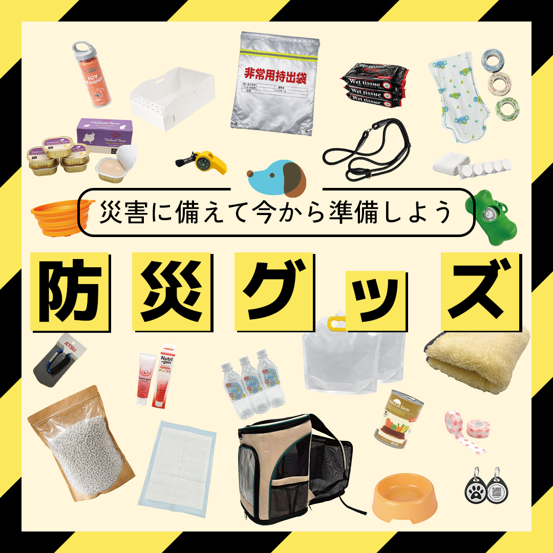 わんちゃん猫ちゃんの防災グッズ