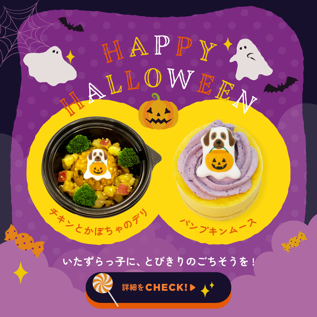 ハロウィン特集