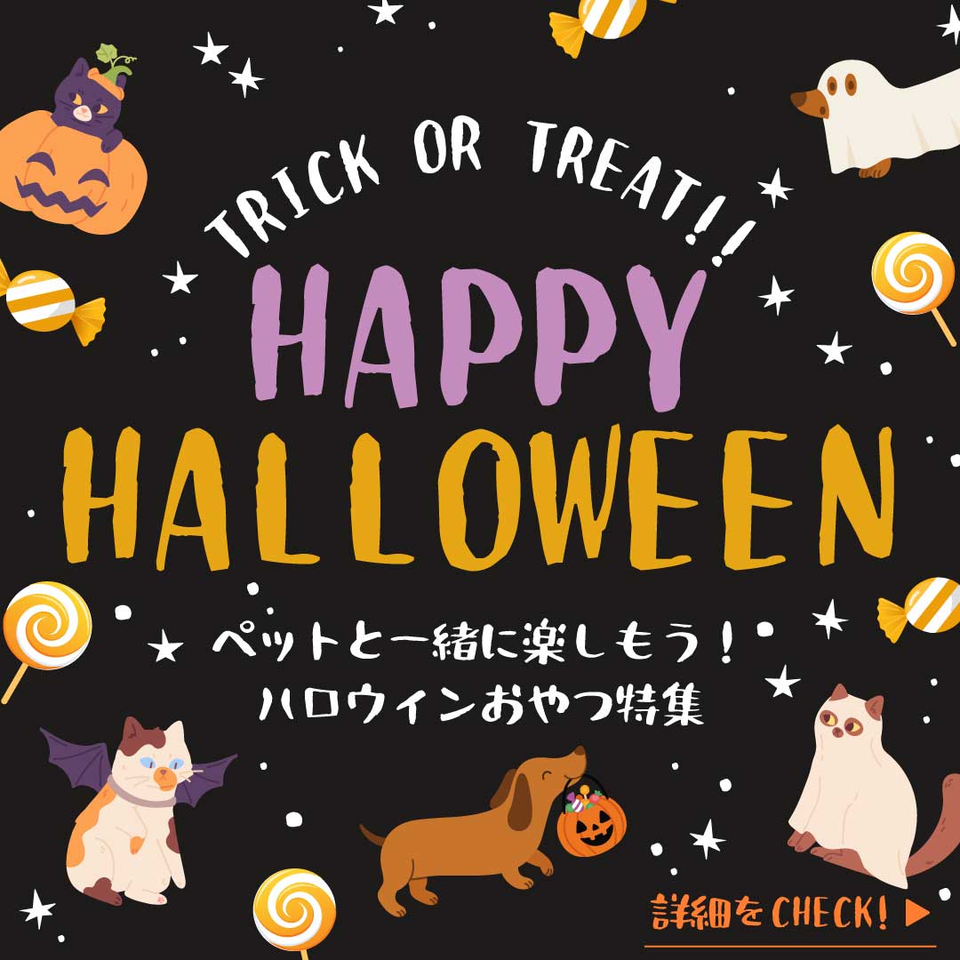ハロウィンおやつ特集
