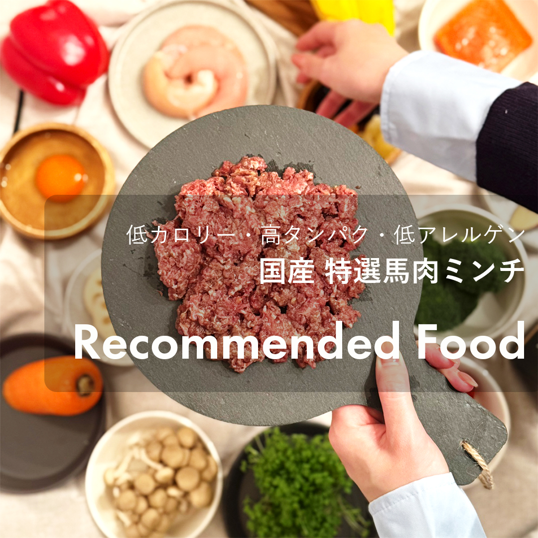 国産特選馬肉ミンチ