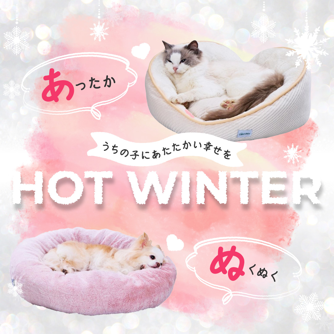HOT WINTER あったかぬくぬく特集