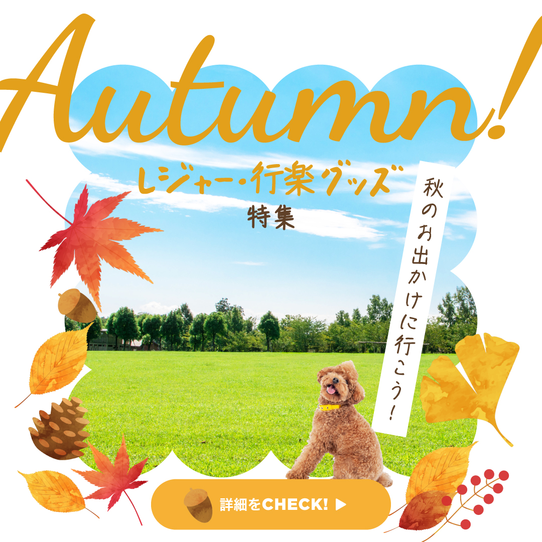 ペットのレジャー・行楽グッズ特集