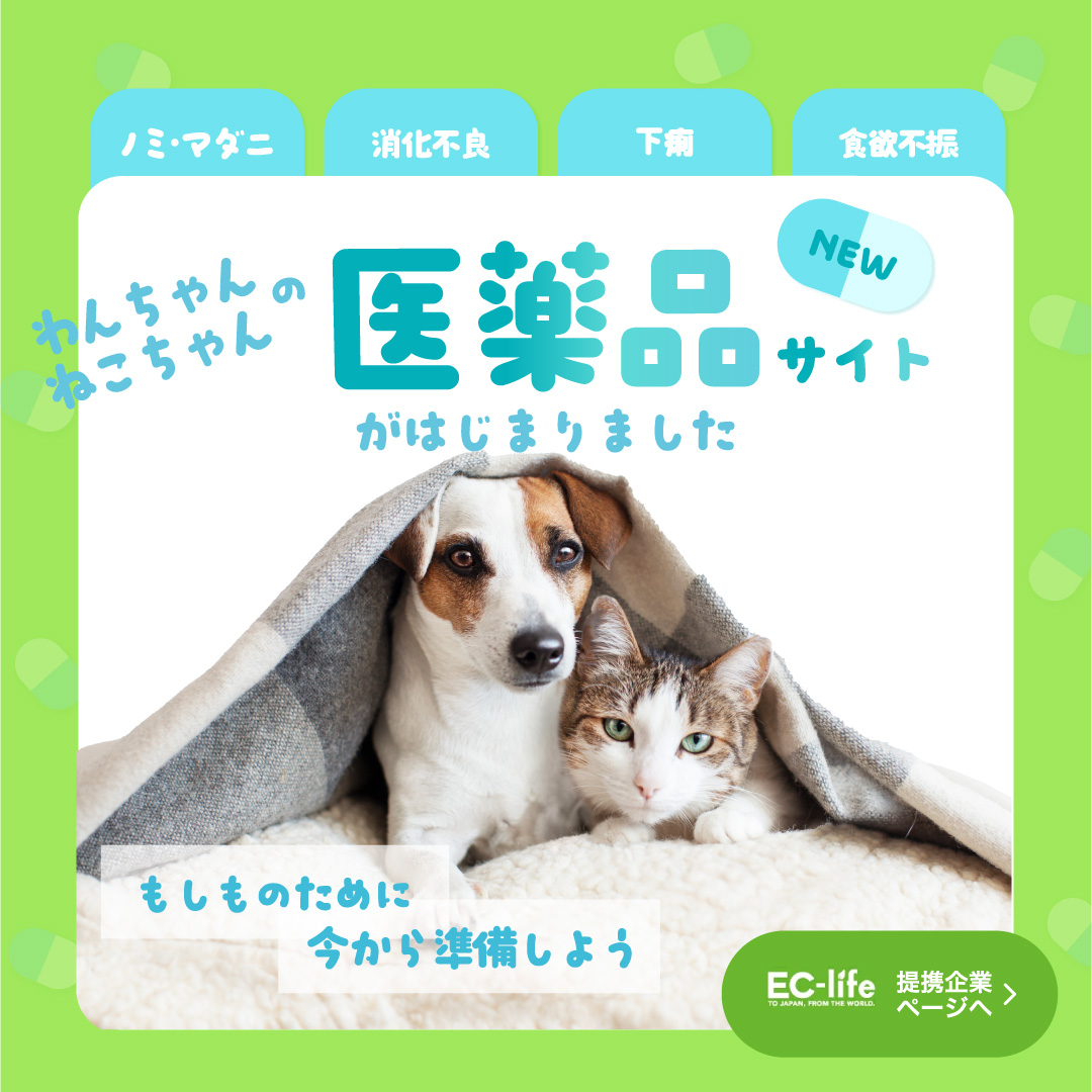 医薬品販売スタート EC-ilfe