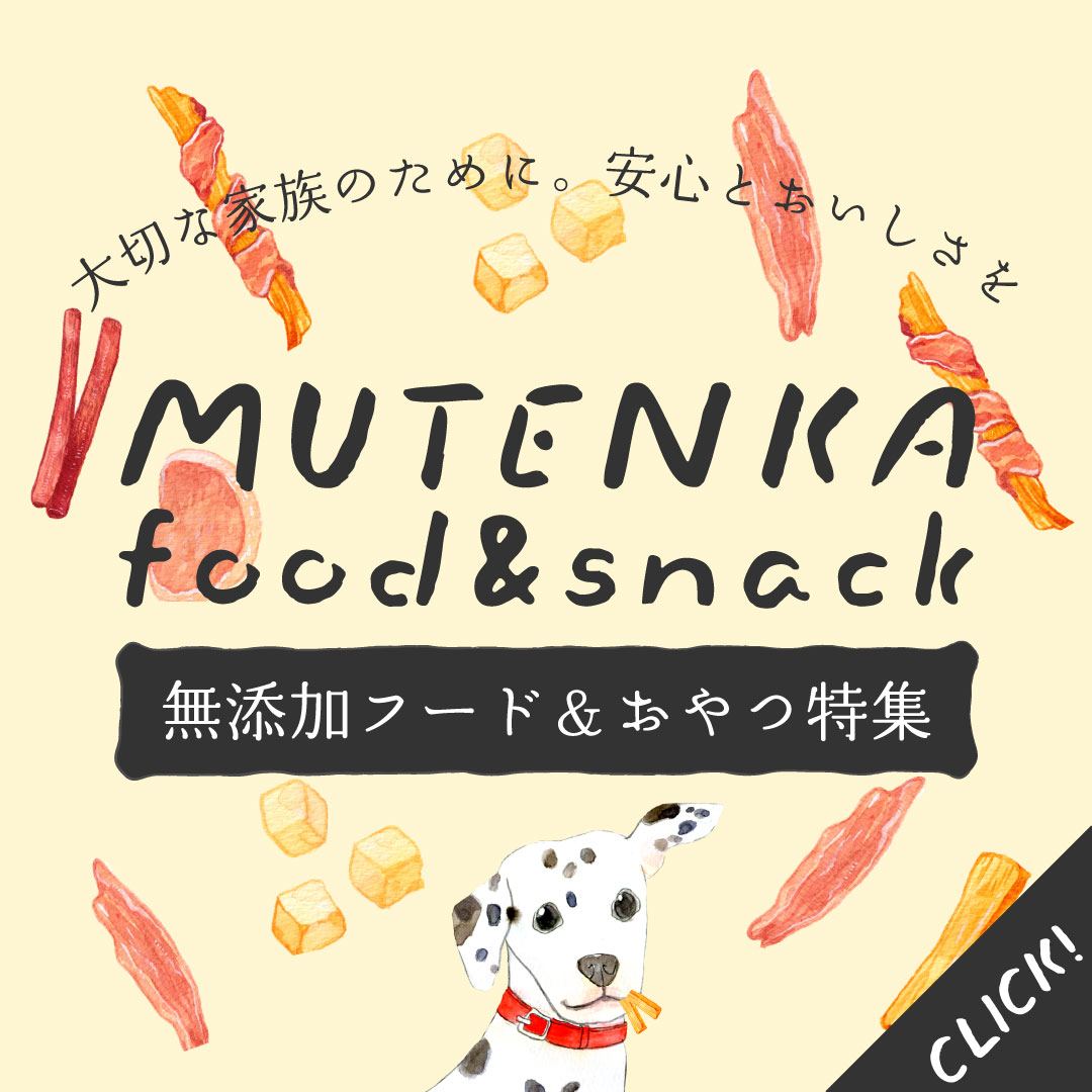 無添加フード＆おやつ特集