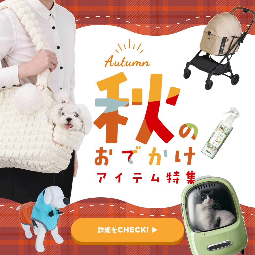 秋のおでかけ特集