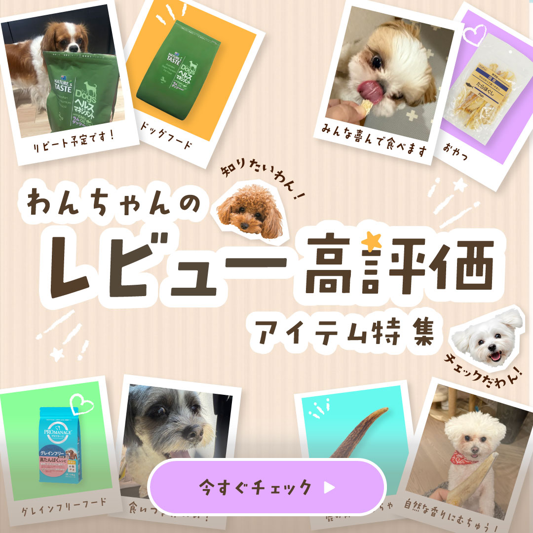 わんちゃんのレビュー高評価アイテム特集