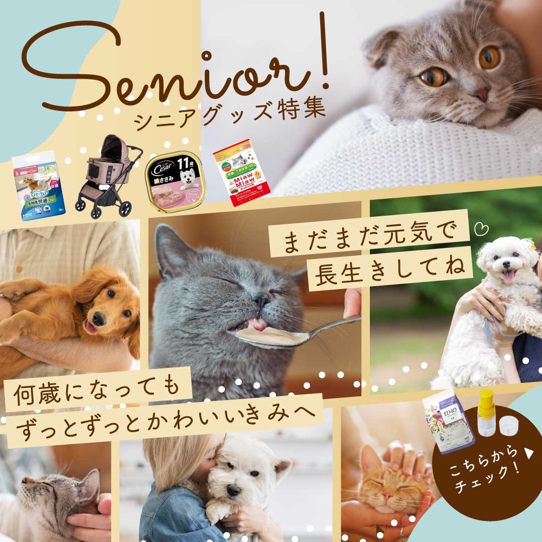 シニア向けペットグッズ特集