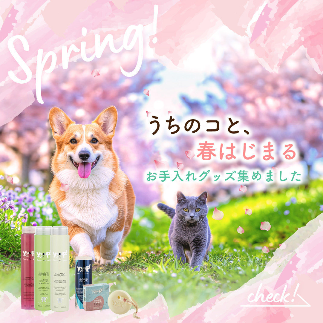 うちの子と春はじまる　お手入れグッズ集めました