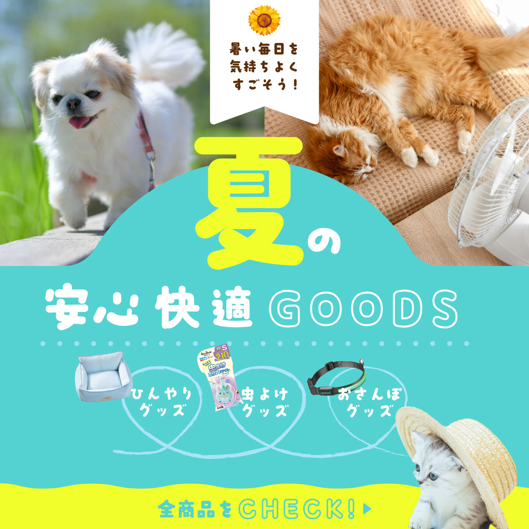 夏の安心快適グッズ特集