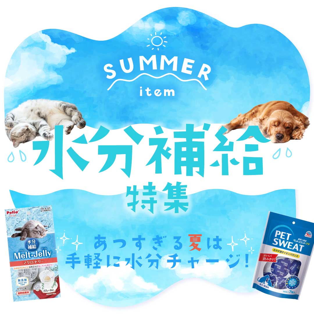 夏の水分補給特集