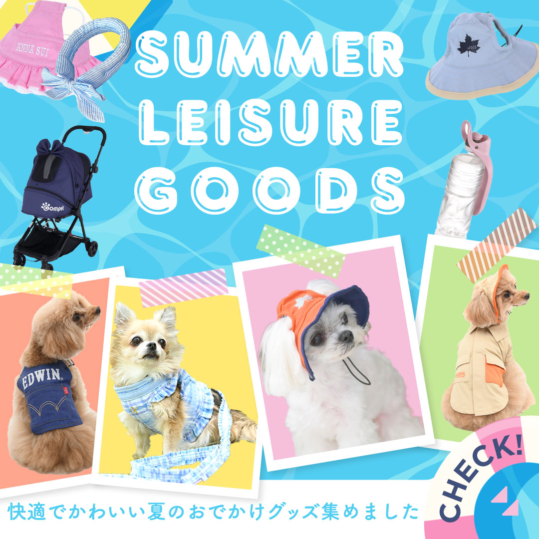 夏のレジャーグッズ特集