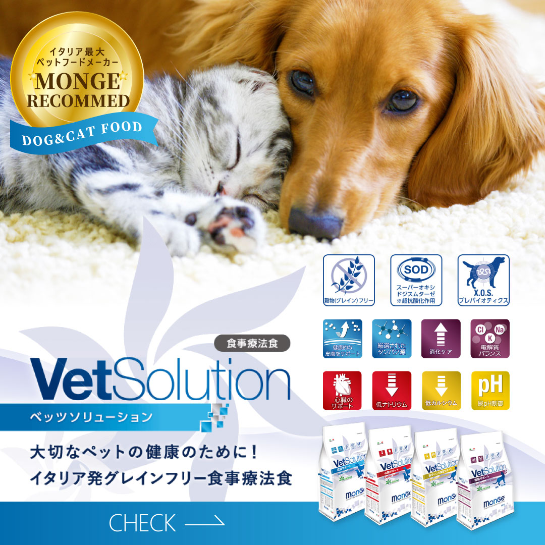 Vetsolution特集