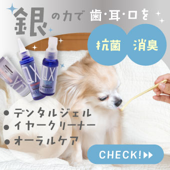 銀の力で抗菌のデンタルジェル、イヤークリーナー、オーラルケア