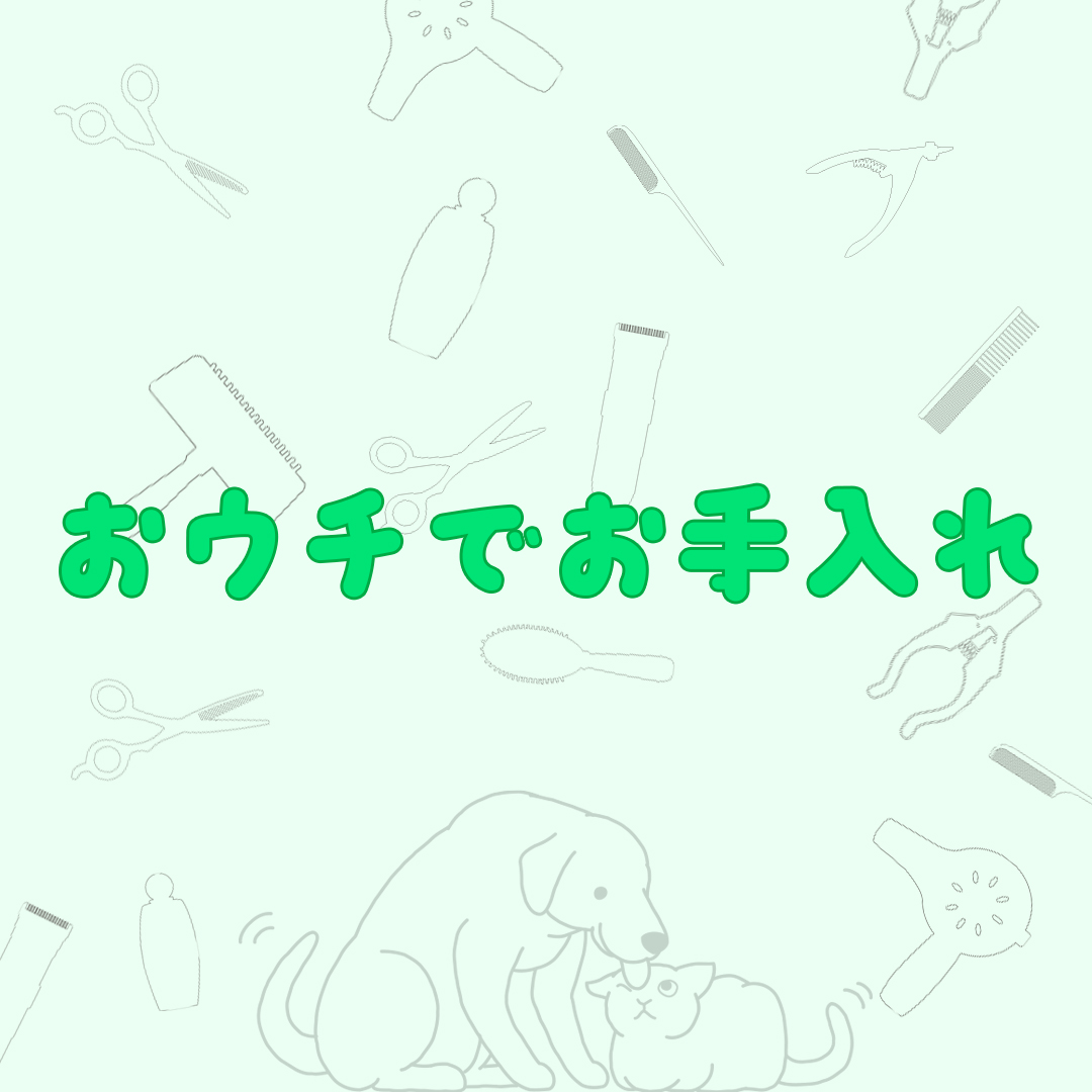 おうちでお手入れ