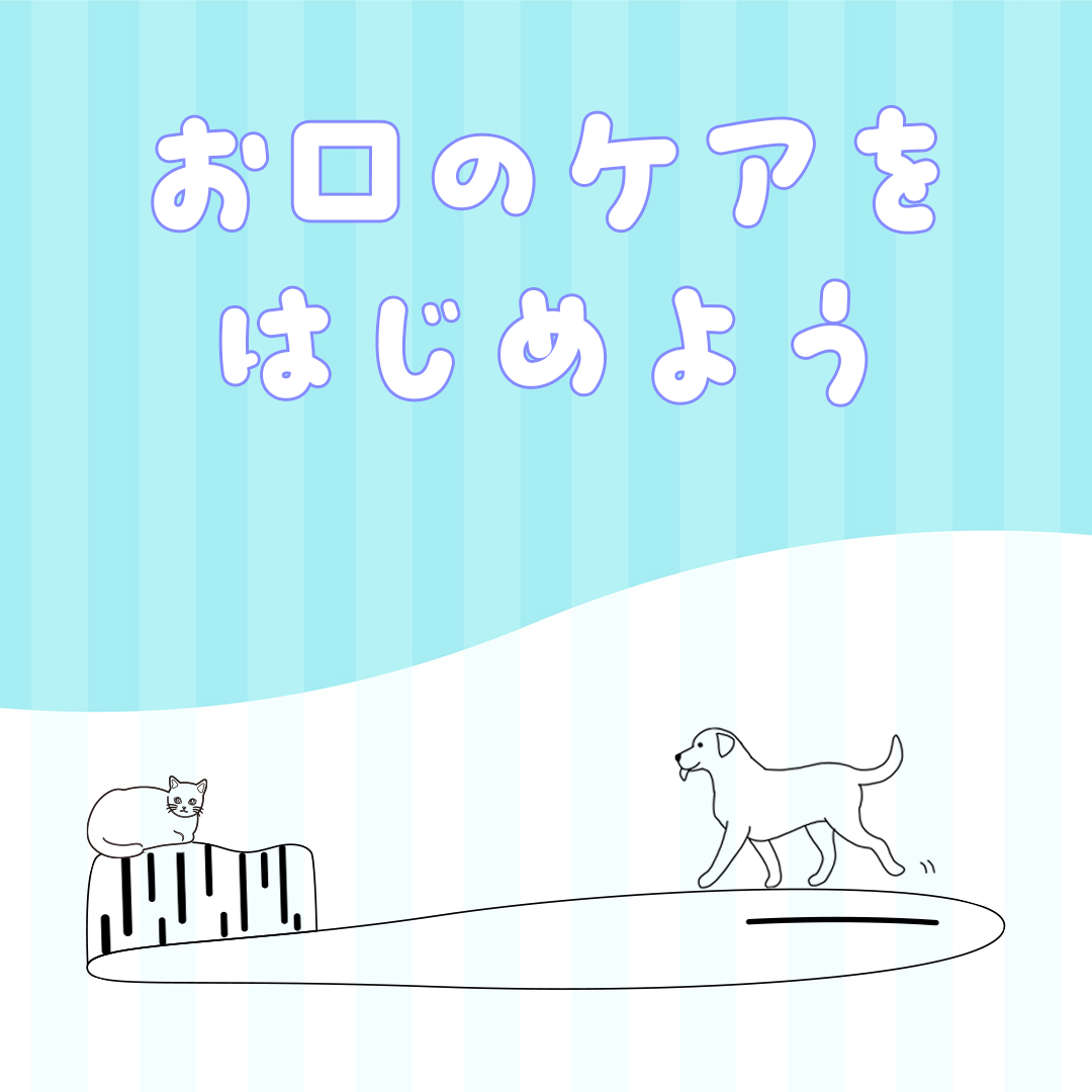 お口のケア