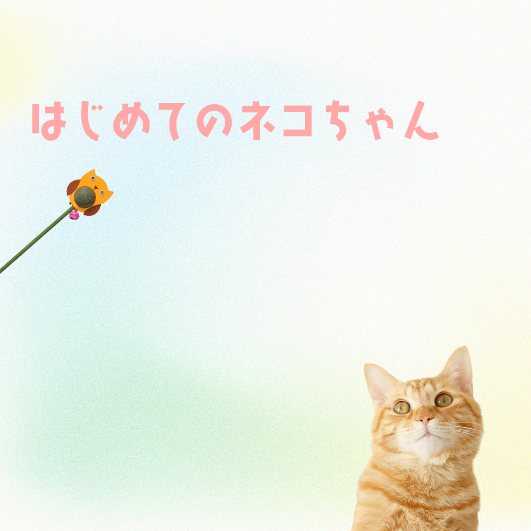 はじめてのねこちゃん