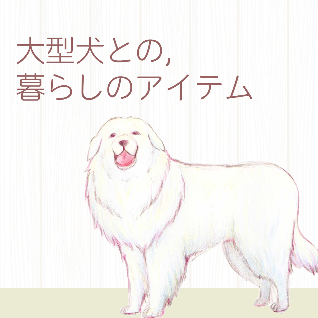 大型犬との暮らし