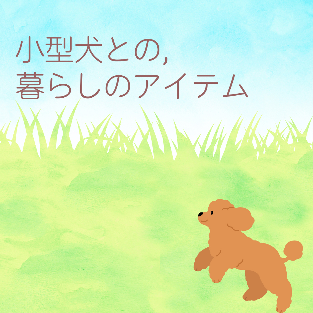 超小型犬との暮らし